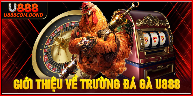 Giới thiệu chung về trường cá cược đá gà u888